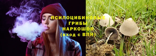 a pvp Нягань