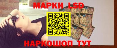 дмт Донской