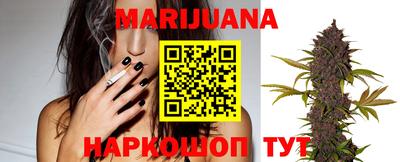 шишки Славгород