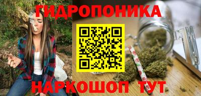 шишки Славгород