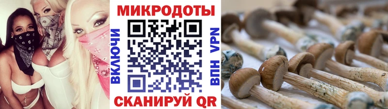 кракен как войти  Тосно  Галлюциногенные грибы прущие грибы 
