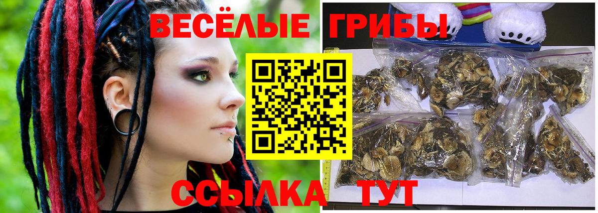 Галлюциногенные грибы прущие грибы  Вход с VPN  Тосно  Псилоцибиновые грибы мухоморы 